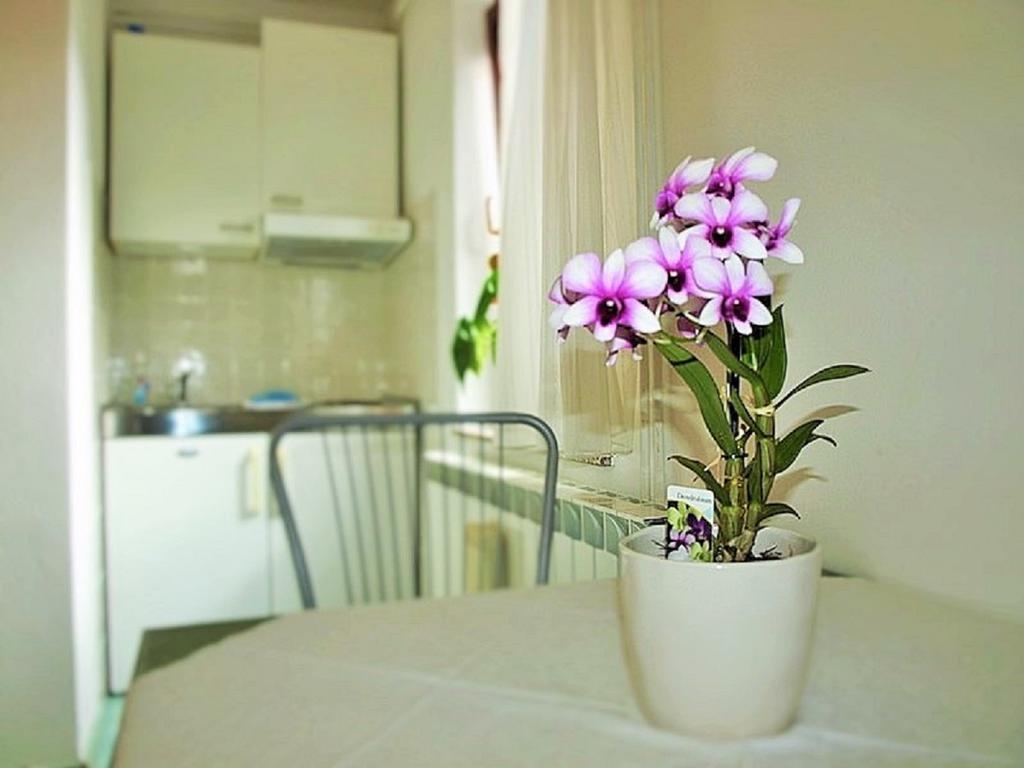Apartment Koric Icici Bagian luar foto